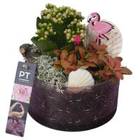 PTSUT8901 Arrangement Summer in glass bowl