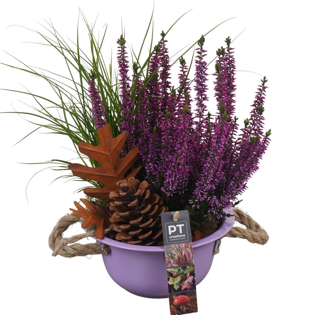 Image de PTHO4002 Arrangement Autumn Outdoor in metal bowl P18 34CM