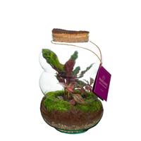 Wardians Terrarium - Pluto medium