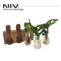 Hydroponic in varieties in Berlin glass