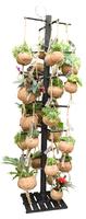 Kokodama Black Tree INCLUDING 48 best selling Kokodama's