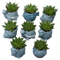 PTSUT8941 Arrangement Summer in animal pot