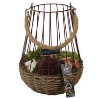 PTS7374 Arrangement Sempervivum in rope basket with metal