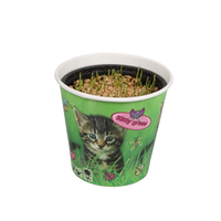 Triticum in Cat cup