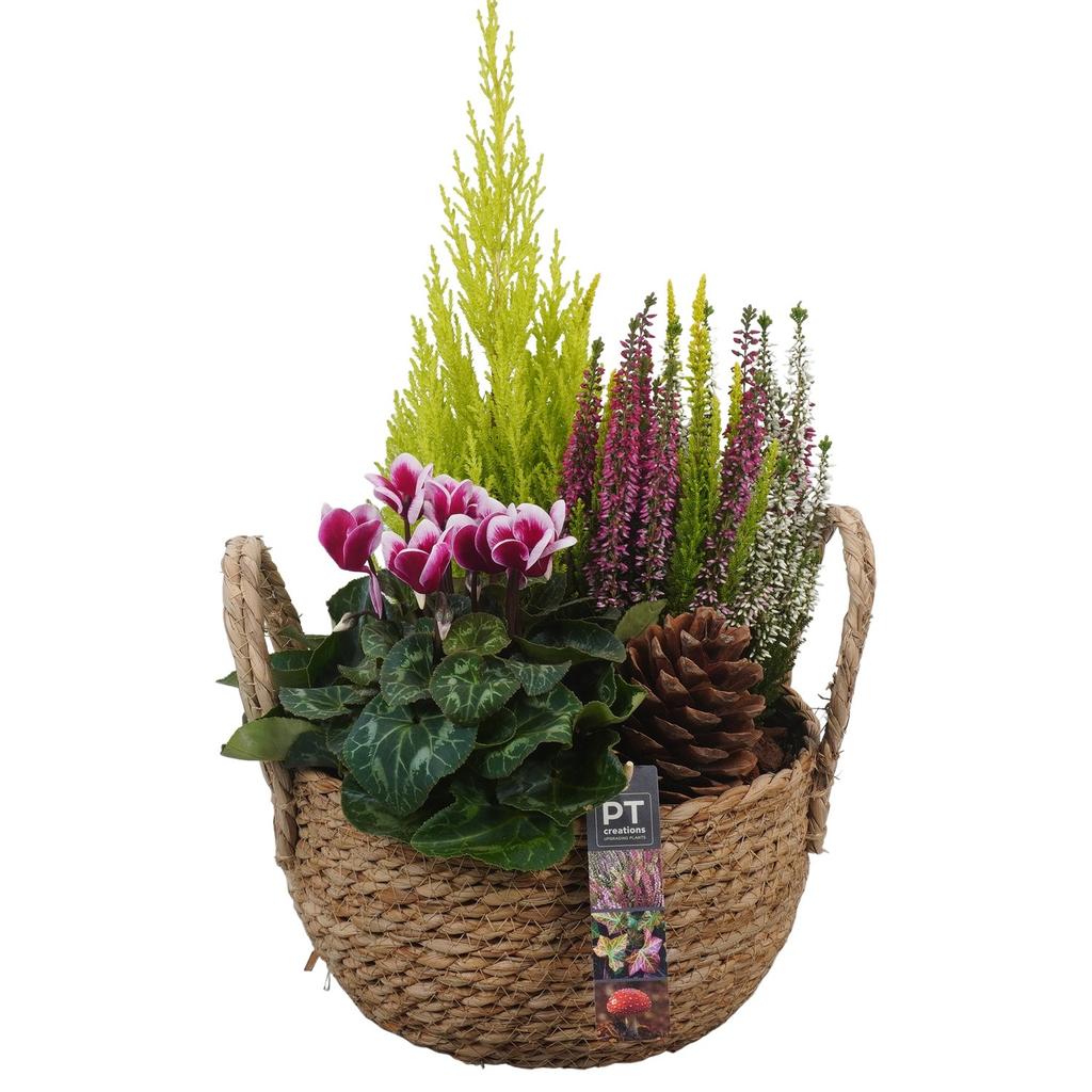 Image de PTHO4136 Arrangement Autumn Outdoor in willow basket P25 50CM