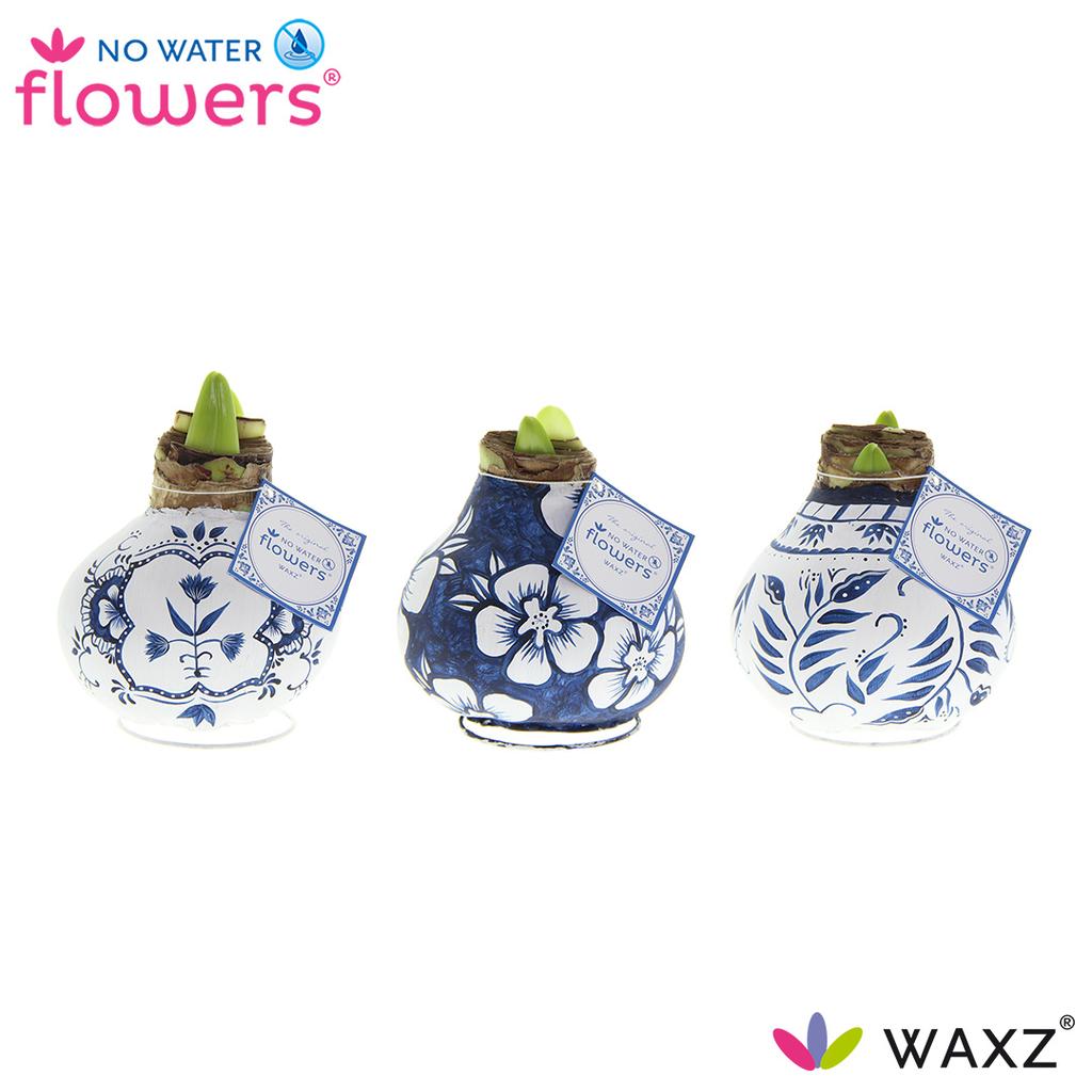 Afbeeldingen van No Water Flowers Waxz® Delfts Blue varieties 38 cm bulbsize hand painted