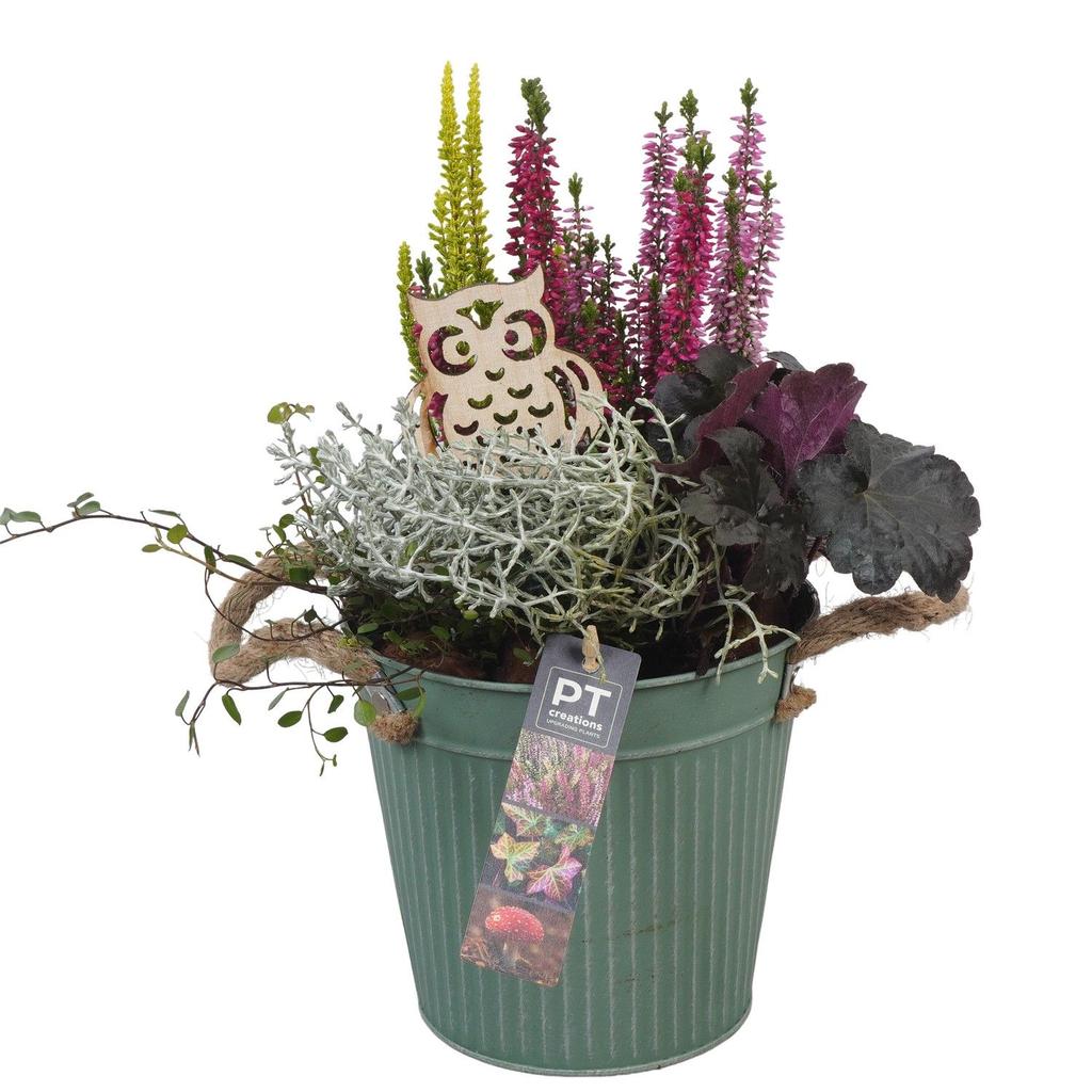 Image de PTHO4104 Arrangement Autumn Outdoor in metal pot P16 33CM