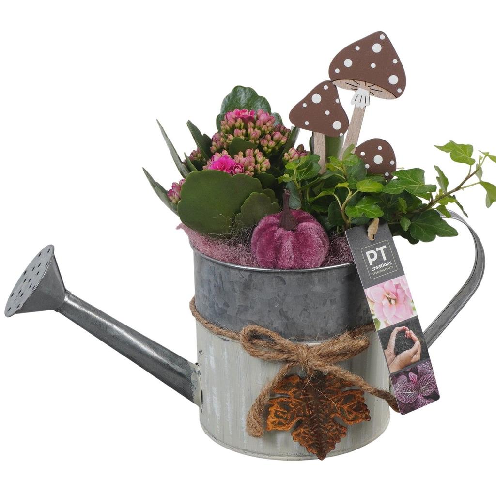 Picture of PTHI5310 Arrangement Autumn Indoor in metal watercan P12 25CM