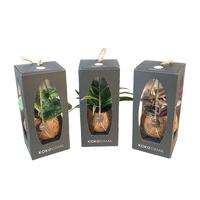 Kokodama Gift Package Green varieties