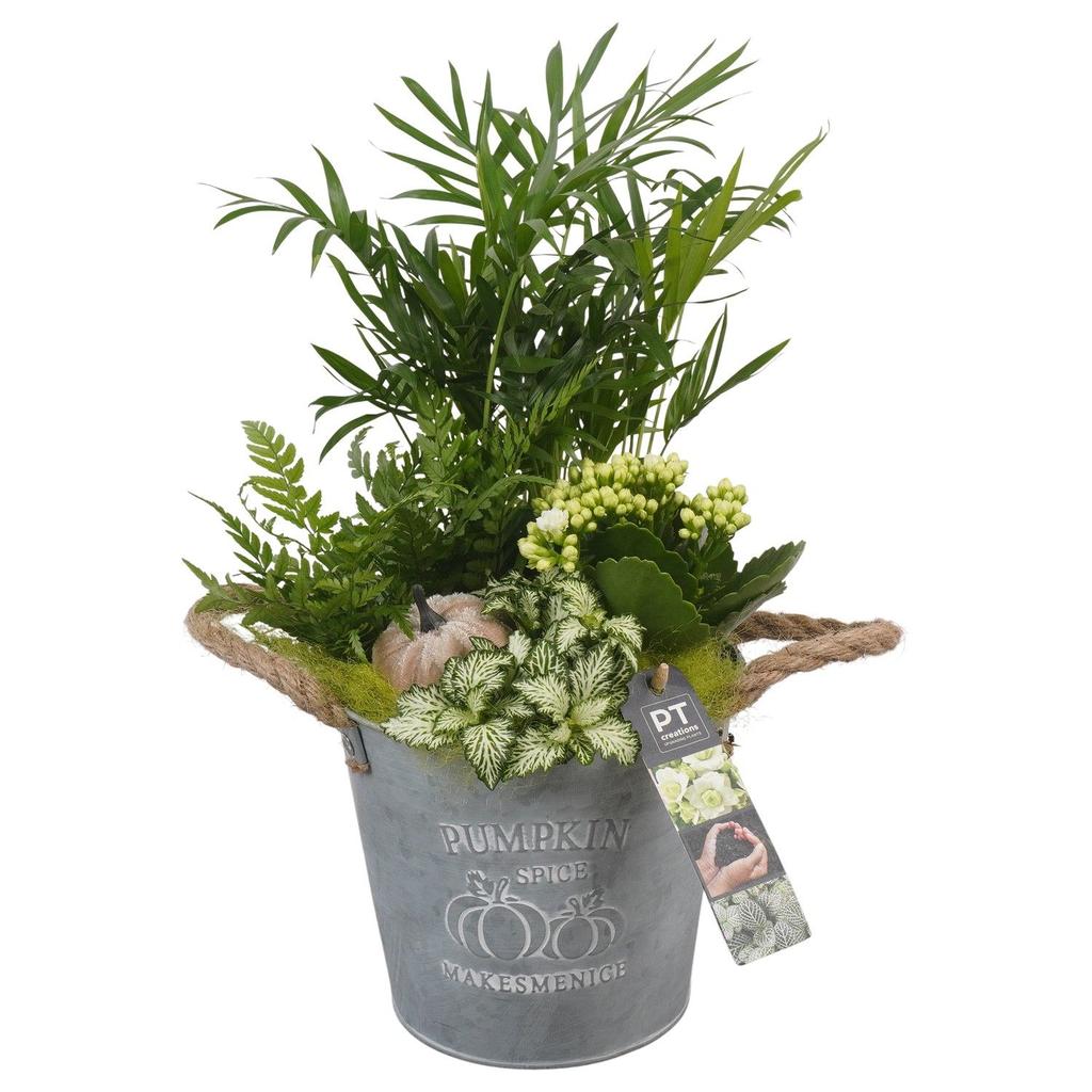 Picture of PTHI5318 Arrangement Autumn Indoor in metal box P16 37CM