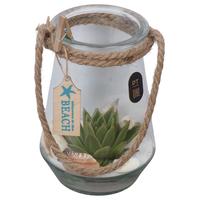 PTSUT8921 Arrangement Summer in glass vase with handle