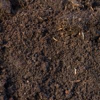 aquatic plants pond soil - - Piece × 1 - £ 391.44 Shelf £ 391.44 Trolley
