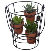 PTSUT8931 Arrangement Summer in frame