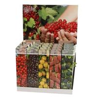 Fruit varieties (Ribes & Rubus)