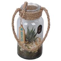 PTSUT8920 Arrangement Summer glass vase with handle