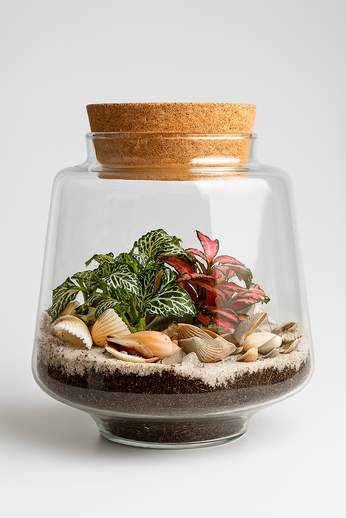 Obrazek Wardians Terrarium - Mercurius SMALL SUMMER EDITION P12 12CM