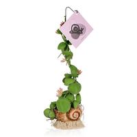 Snaily single