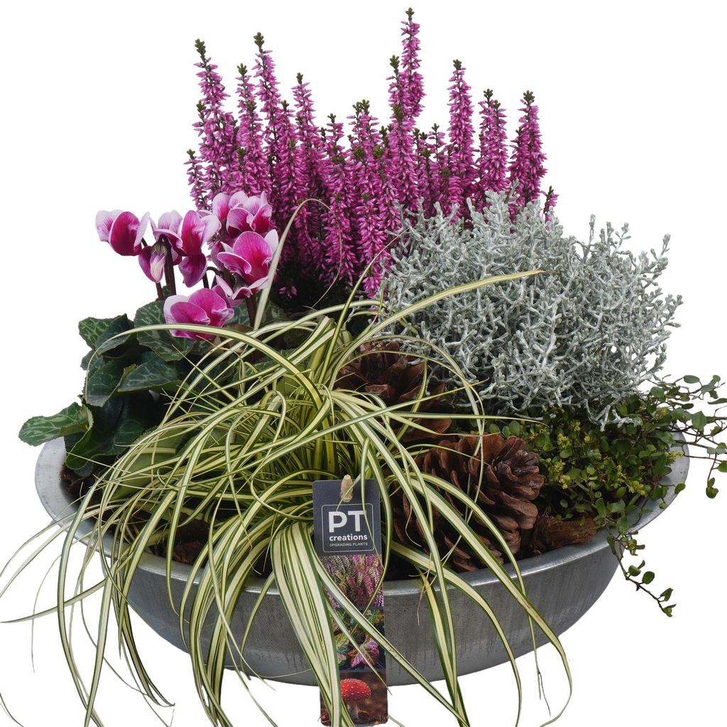 Image de PTHO4078 Arrangement Autumn Outdoor in metal bowl P36 32cm
