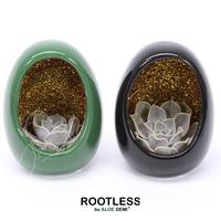 Echeveria ROOTLESS Egg Black Green Glitter