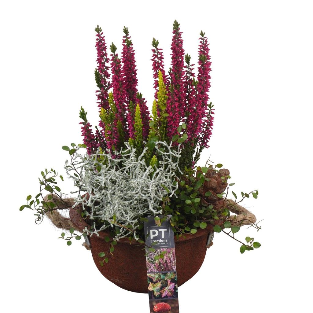 Image de PTHO4048 Arrangement Autumn Outdoor in metal bowl P18 32cm