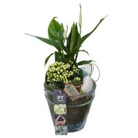 PTSUT8905 Arrangement Summer in glass deco pot