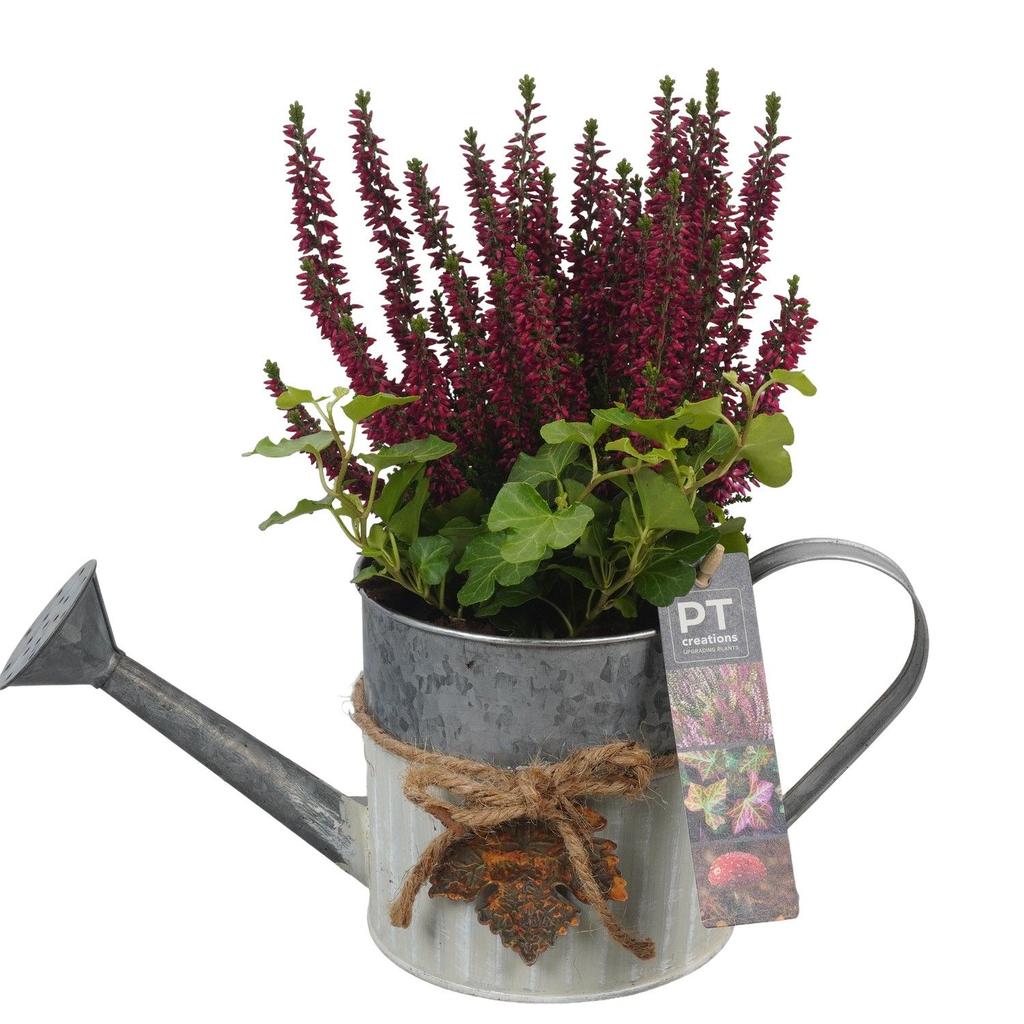 Billede af PTHO4058 Arrangement Autumn Outdoor in metal watercan P12 28CM