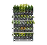 Coniferen in varieties