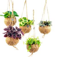 Kokodama Green Collection varieties