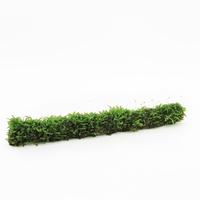 Bamboostick whit javamos 20 cm BAREROOT 5cm Piece × 100 - £ 3.25 Shelf £ 3.23 Trolley
