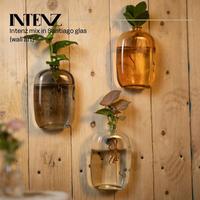Hyroponic Intenz varieties in Santiago glass Wall Art