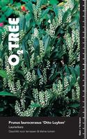 Prunus laur. Otto Luyken
