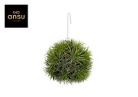 Tillandsia Magic Ball (XXL JUMBO)