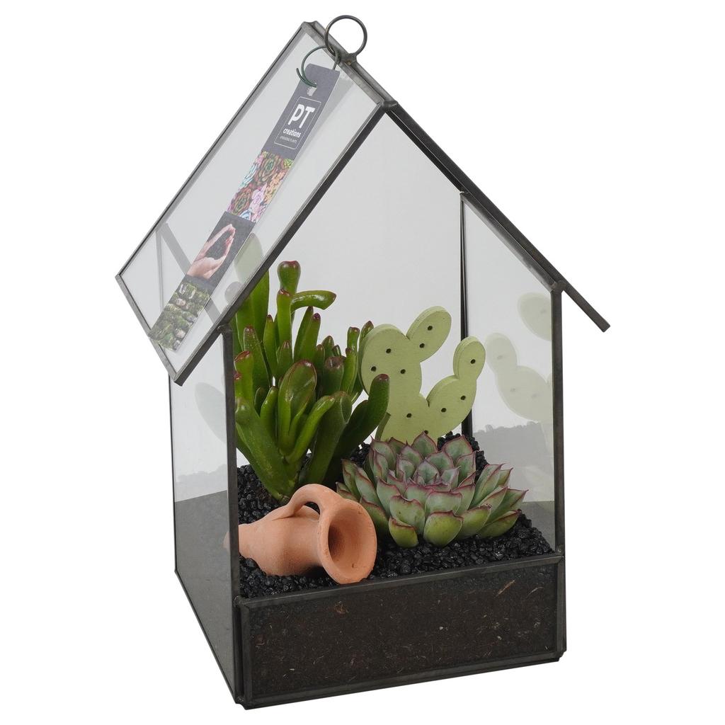 Obrázok z PTSU8403 Arrangement Succulents in glass house P16 25CM