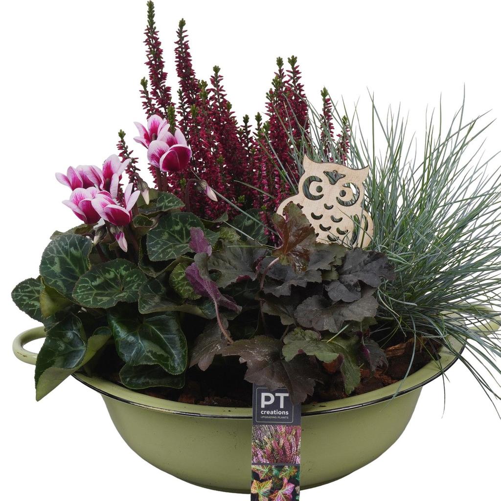 Image de PTHO4091 Arrangement Autumn Outdoor in metal bowl P29 32cm