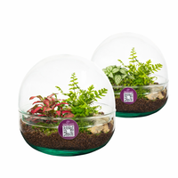 WARDIANS 835 Earth Nano