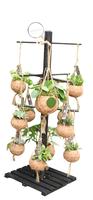 Kokodama Black Tree INCLUDING 24 best selling Kokodama's