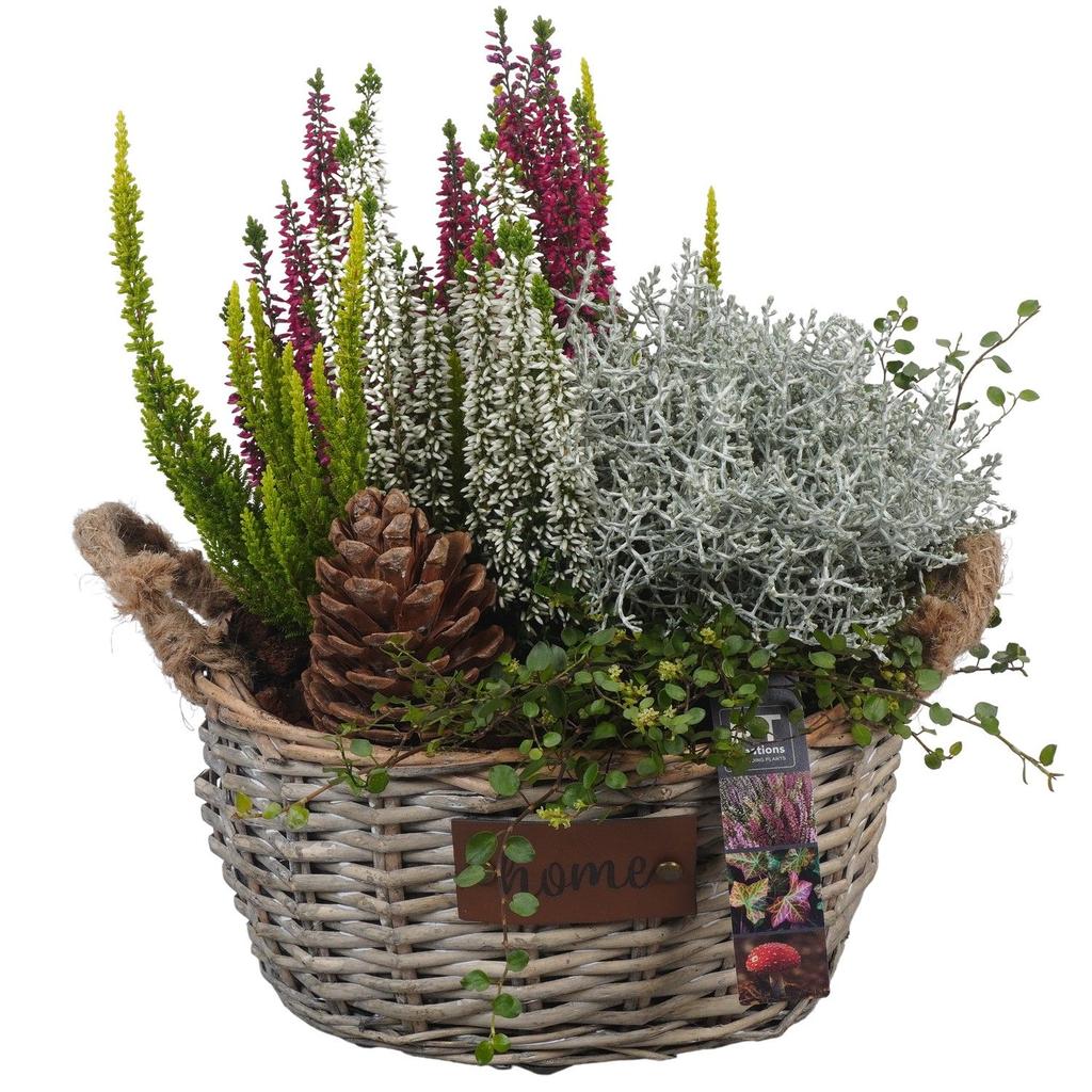 Image de PTHO4140 Arrangement Autumn Outdoor in willow basket P25 38CM