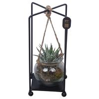 PTSUT8929 Arrangement Summer in frame