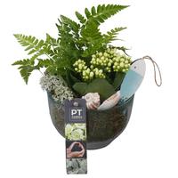 PTSUT8903 Arrangement Summer in glass bowl