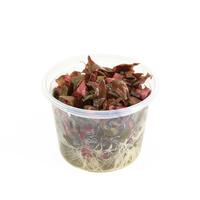 Alternanthera minima CUP - Tray 3 × 100 £ 3.22 (Tray) £ 3.18 Shelf £ 3.17 Trolley Tray £ 3.22 × 3 (0.2%)