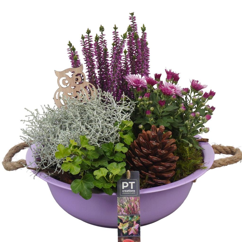 Image de PTHO4007 Arrangement Autumn Outdoor in metal bowl P29 30CM