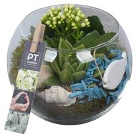 PTSUT8906 Arrangement Summer in glass fish bowl