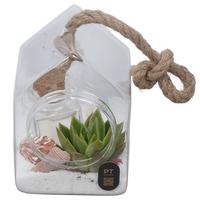 PTSUT8926 Arrangement Summer in glass vase