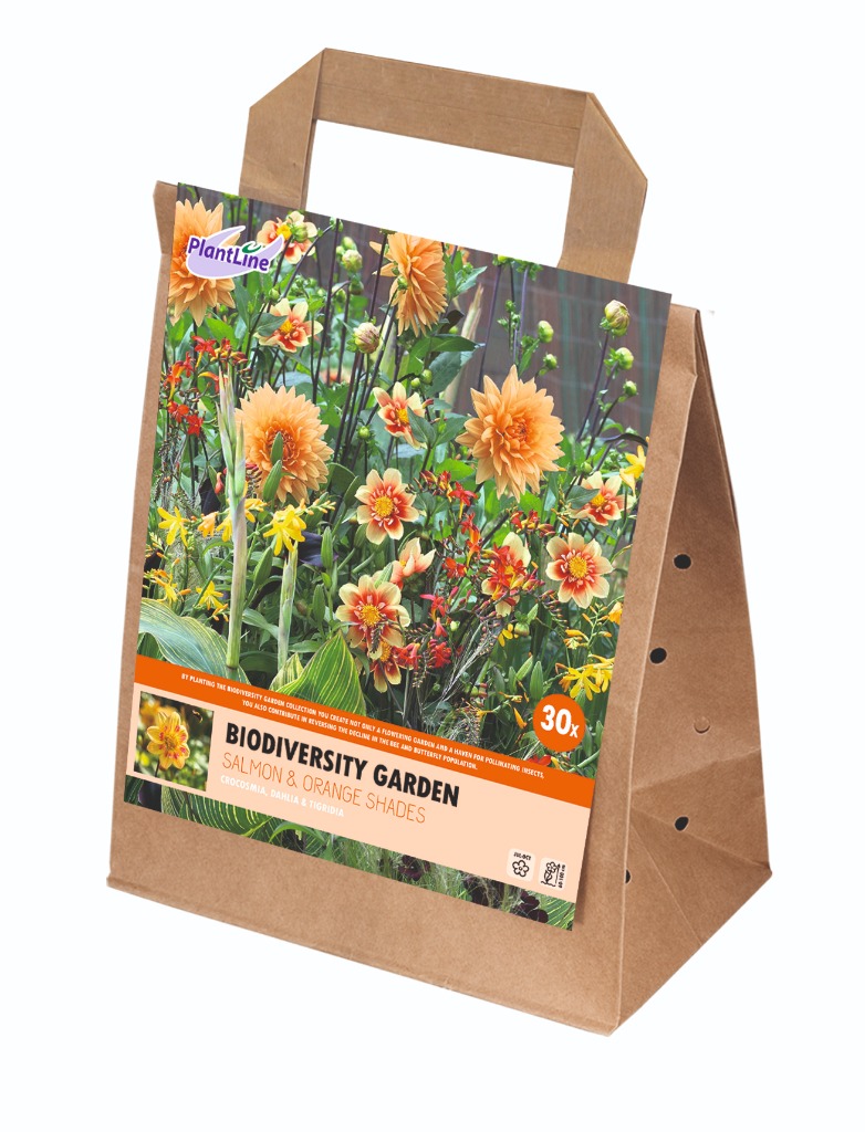 Picture of BBB3335 BIODIVERSITY, BEES & BUTTERFLIES SALMON- ORANGE 15-BAGS WITH 30 BULBS-IN-BOX