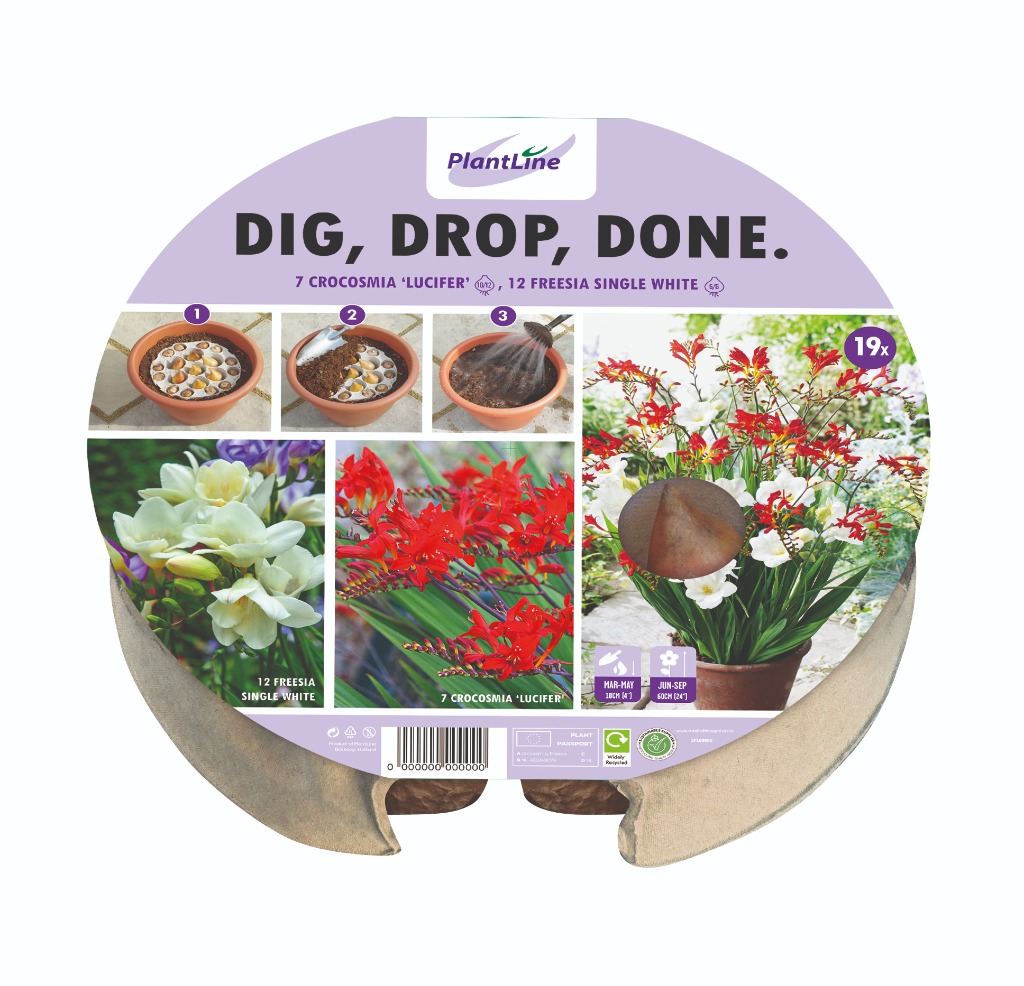 Picture of DIG, DROP, DONE TRAY Ø 24 CM W5 14-TRAY WITH 19 BULBS-IN-BOX