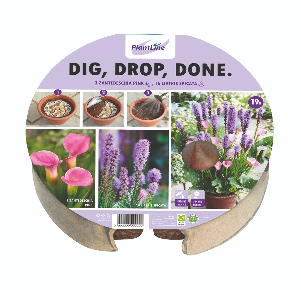 Picture of DIG, DROP, DONE TRAY Ø 24 CM W6 14-TRAY WITH 19 BULBS-IN-BOX