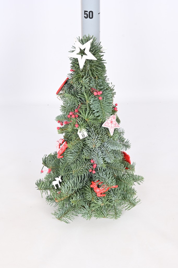 Picture of Abies nobilis mini Trees with decoration 2 (with star and reindeer) 40CM