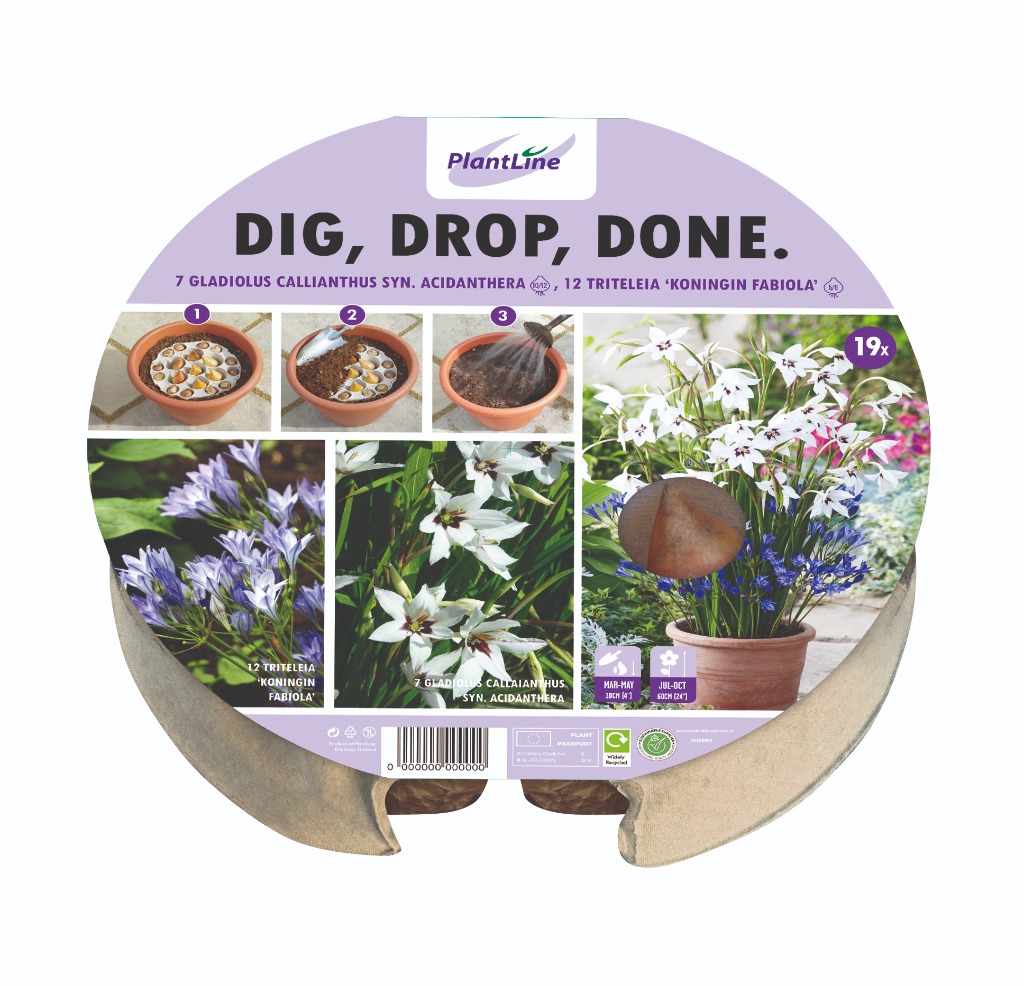 Picture of DIG, DROP, DONE TRAY Ø 24 CM W7 14-TRAY WITH 19 BULBS-IN-BOX