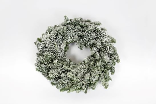 Picture of Abies nobilis with decoration 6 (with snow) 28-30CM-WREATH-HALF