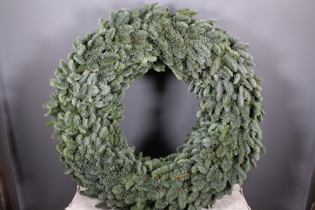 Picture of Abies nobilis 80CM/WREATH